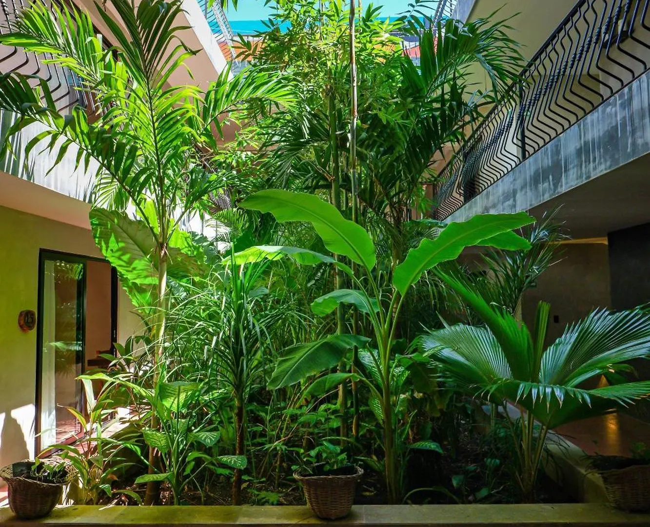 Hotel Calea Tulum